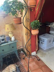 Plant Holder