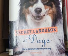 Dog Training books