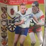 Various GAA Programme Bundle X 10 Image 8