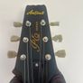 Aria Pro Ii Pe-350 Image 3