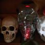 Skulls Image 4