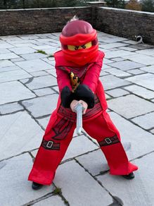 Ninjago Lego Costume