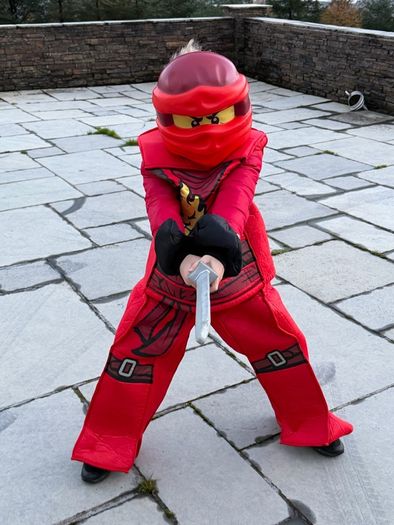 Ninjago Lego Costume