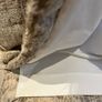 Paul Costelloe Living Curtains (pair) Brand New Image 6