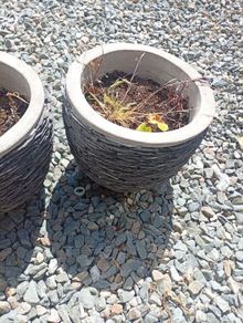 stone flower pot