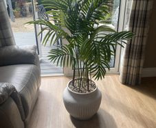 Home and garden