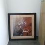 picture Image 2