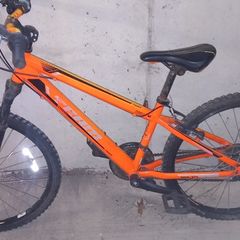 team kids mountain bike