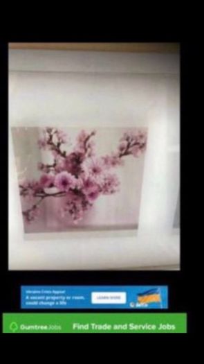 Framed Floral Prints