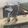 buggy Image 2