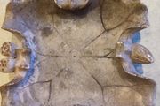 Historique Chinese Soapstone Lotus Leaf Scholar's Brush Washer Tray Dish Hand Carved