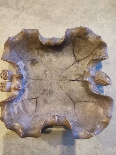 Historique Chinese Soapstone Lotus Leaf Scholar's Brush Washer Tray Dish Hand Carved