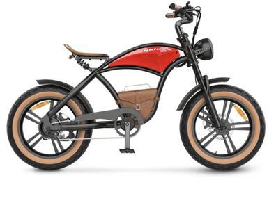 Hidoes B10 Electric Bike