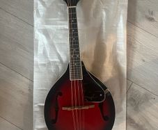 Trax TMA-1 mandolin
