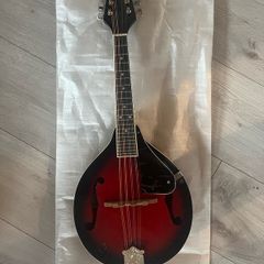 Trax TMA-1 mandolin