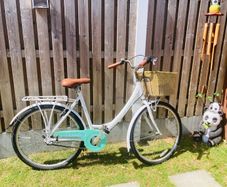 Dorado Lady Bike