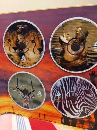 Wildlife Diary 8 DVD Collector's Edition
