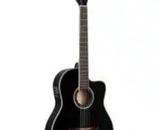 Semi Acoustic Classical guitar Pickup/Preamp/Tuner by Ortega