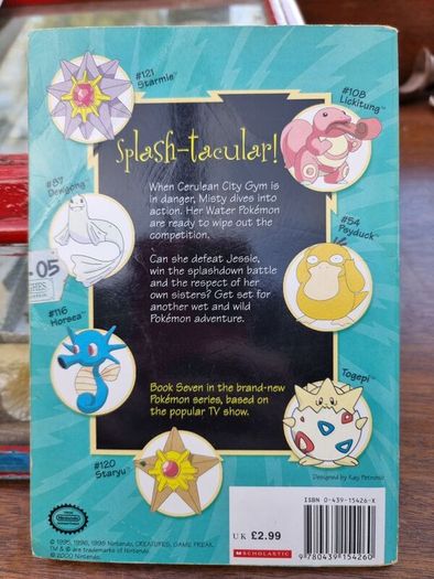 Pokemon book bundle