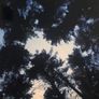 Mounted Skyscape Print Image 2