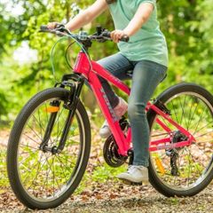 Popular Girls Bike