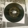 Mudhoney - The Lucky Ones (Limited Edition) Image 8