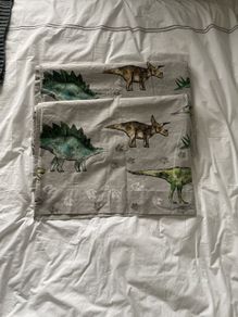 Next Dino Blackout Curtans