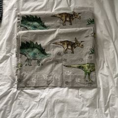Next Dino Blackout Curtans