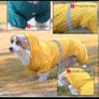 Dog Raincoat Waterproof Jacket with Hood & Collar Hole Transparent Brim,Ultra-Light Breathable Reflective Jumpsuit for Short-legged Dogs Corgi Dachshund xs,s,m,L,XL Image 2