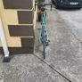 Bianchi aria Image 3