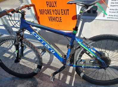 carrerra bike