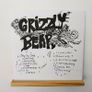Grizzly Bear - Horn Of Plenty(LP, RSD, RE, LE) Image 3