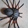 toy Image 2