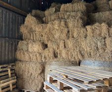 Hay