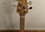Lakland Skyline 55-01