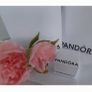 New genuine pandora 14k and silver charm Image 6