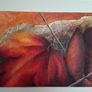 'Autumn Leaves ' Image 5