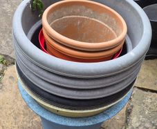 plant pots