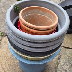 plant pots