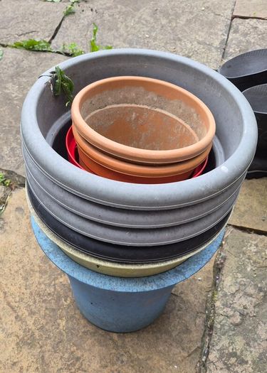 plant pots