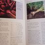 (Growing) Fruits & Vegetables/ The Gardeners Handbooks Image 7