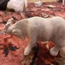vintage sheep collectables Image 4