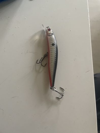 Fishing