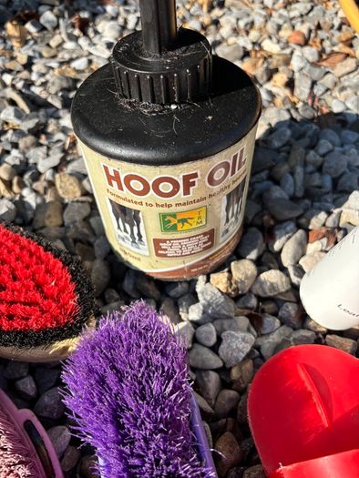 Job-lot: Horse Care