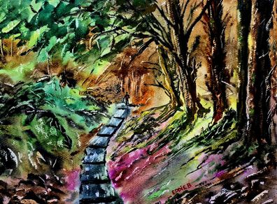 Ballinastoe woods walk Watercolour