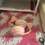 Kids cat headphones,case and charger Image 4