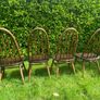 ercol Windsor dining chairs Image 7