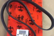 Fan Belt (Fiat  Alfa Romeo)