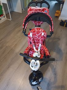 Smartrike 4-in-1