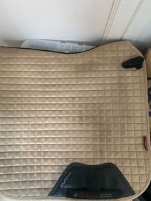 Lemieux Dressage saddle pads